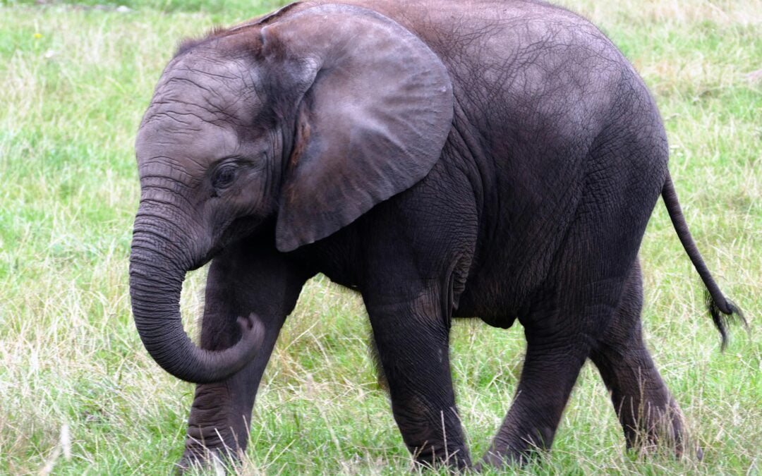 AI In Action: Exploring Tomorrow’s Tech Today