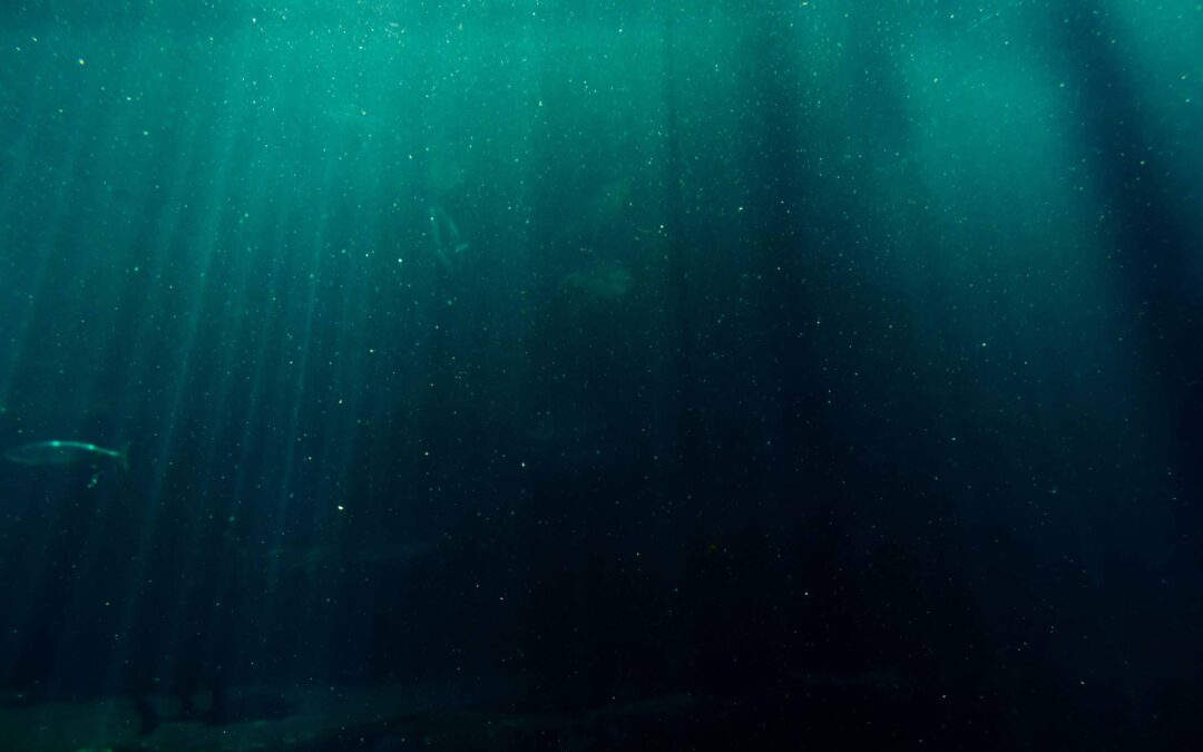 Using Motivational Interviewing in Clinical Supervision