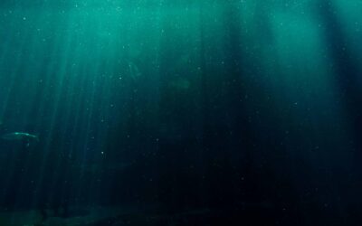 Using Motivational Interviewing in Clinical Supervision