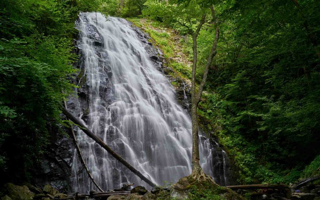 Transparency Over Technology: The Human Side of AI in the Workplace