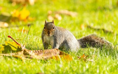 Curiosity Over Compliance: Dayna Guido’s Radical Take on Ethics and Parenting