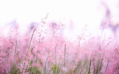 Supervising in the Age of Algorithms: Dayna Guido on Ethics and AI