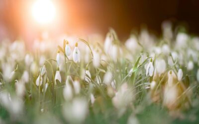 The Ethics of AI and Marketing: How to Build Trust in a Digital World