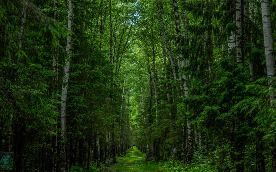 Who Is Responsible When the Algorithm Is in the Room?