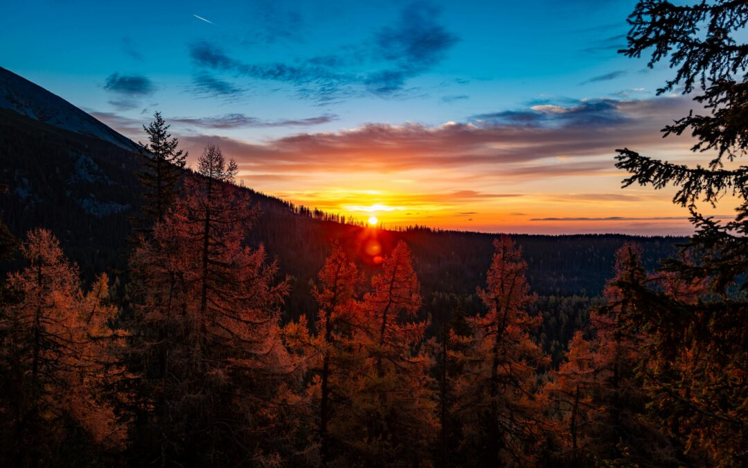 Moral Deskilling: How Automation Is Quietly Weakening Ethical Judgment in Mental Health